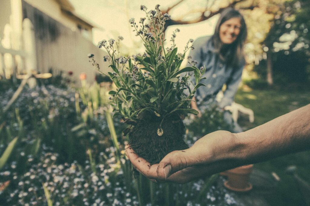 gartengestaltung 1024x683 - Höchste Garten-Standards: Die besten Tipps für einen luxuriösen Außenbereich